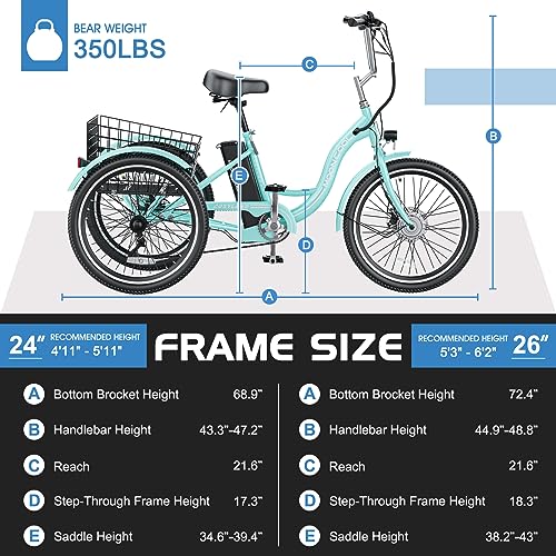 Electric Tricycle Trike for Adults - 350W, 36V, Removable Battery