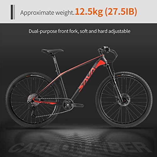 Carbon Fiber Mountain Bike, Complete Hard Tail MTB