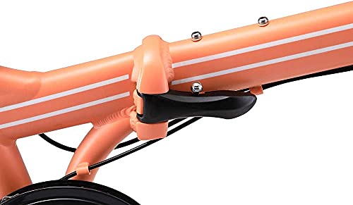 ZiZZO Forte Lightweight Aluminum Folding Bike (Coral)