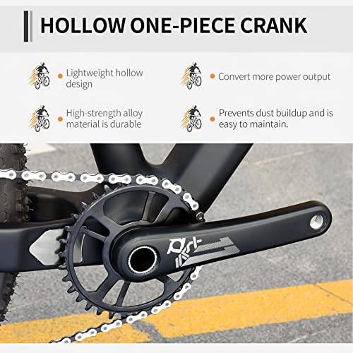 Carbon Fiber Mountain Bike, Complete Hard Tail MTB