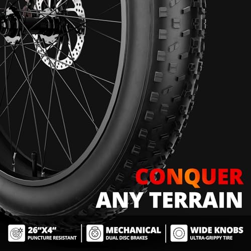 AMYET EB26 1000W Electric Bike, 48V 15Ah, 31mph
