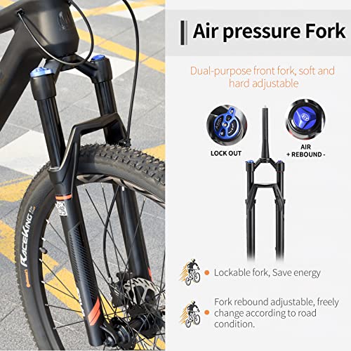 Carbon Fiber Mountain Bike, Complete Hard Tail MTB