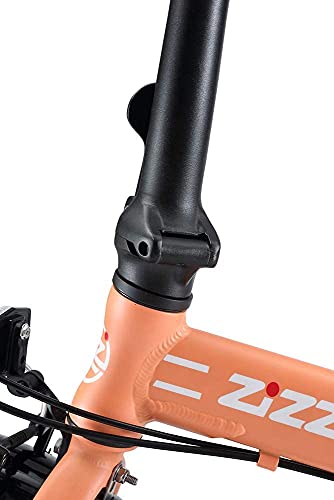 ZiZZO Forte Lightweight Aluminum Folding Bike (Coral)