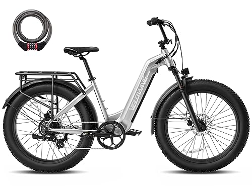 VELOWAVE 26" Fat Tire Electric Bike 750W