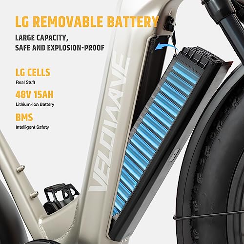 VELOWAVE 26" Fat Tire Electric Bike 750W