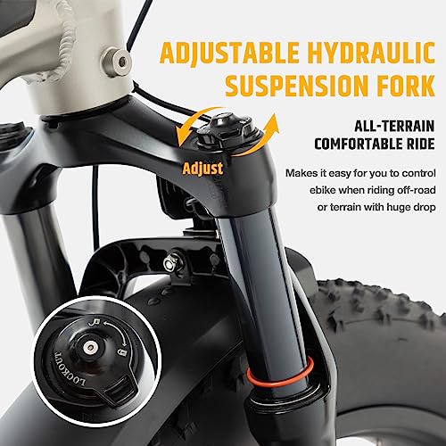 VELOWAVE 26" Fat Tire Electric Bike 750W