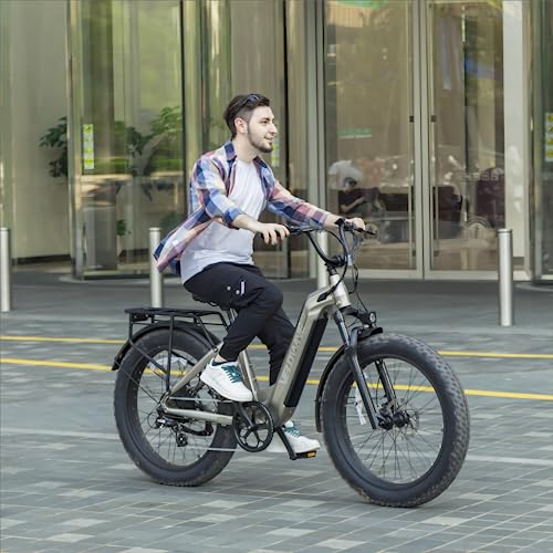 VELOWAVE 26" Fat Tire Electric Bike 750W