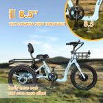 EMOJO Bull Electric Tricycle - Low Step Through