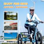 EMOJO Bull Electric Tricycle - Low Step Through