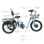 EMOJO Bull Electric Tricycle - Low Step Through