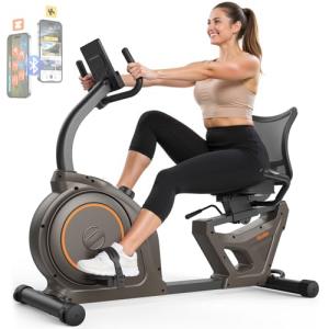 Niceday Recumbent Exercise Bike for Home Gym