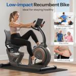 Niceday Recumbent Exercise Bike for Home Gym