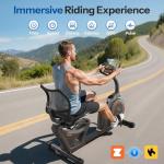 Niceday Recumbent Exercise Bike for Home Gym