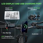 isinwheel M10 Electric Mountain Bike for Adults