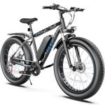 Vivi Electric Bike: Fat Tire Mountain Ebike