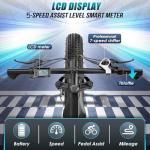 Vivi Electric Bike: Fat Tire Mountain Ebike