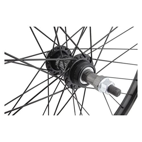 26" Rear Bicycle Wheel, Freewheel Compatible, 36 Spoke