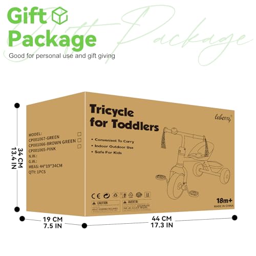 Green Kids Tricycle with Bell and Removable Pedal