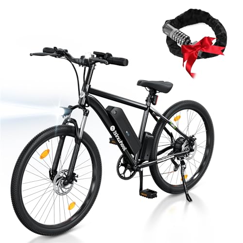 isinwheel M10 Electric Mountain Bike for Adults
