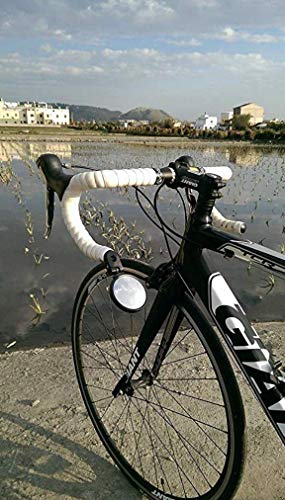 Hafny Bar End Bike Mirror, Stainless Steel Lens