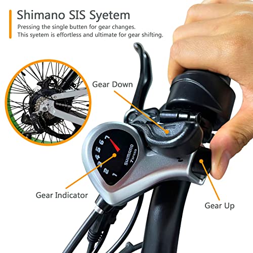 750W Electric Fat Tire Folding E-Bike for Adults