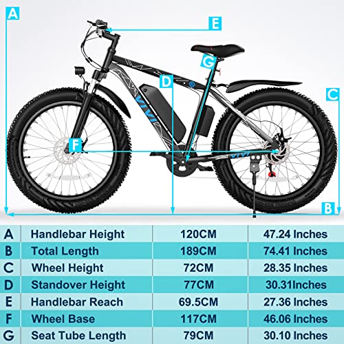 Vivi Electric Bike: Fat Tire Mountain Ebike
