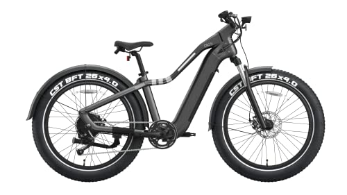 OKAI Ranger Electric Bike: 48V 750W, 8-Speed Gears
