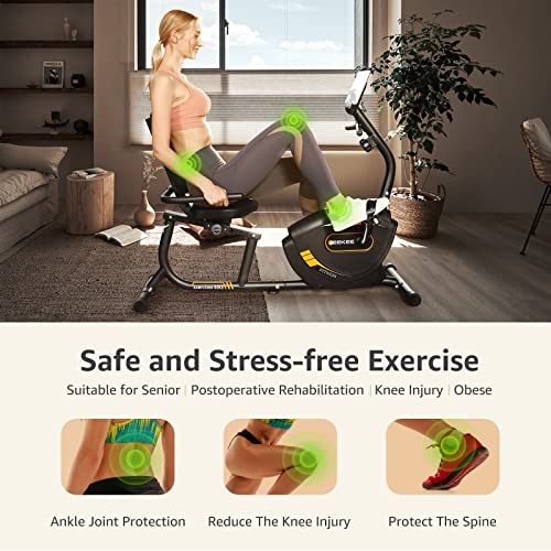 JEEKEE Recumbent Bike - Indoor Magnetic Cycling for Adults