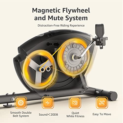 JEEKEE Recumbent Bike - Indoor Magnetic Cycling for Adults