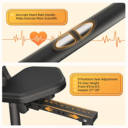 JEEKEE Recumbent Bike - Indoor Magnetic Cycling for Adults