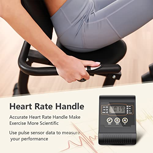 JEEKEE Recumbent Bike - Indoor Magnetic Cycling for Adults
