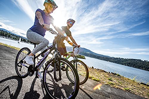 Schwinn GTX 1.0 Dual Sport Hybrid Bike