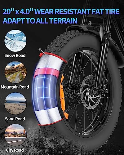 Ridstar 1000W Electric Dirt Bike for Adults