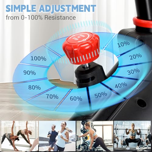 DMASUN Super Quiet Magnetic Resistance Exercise Bike