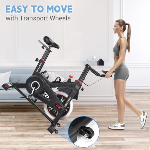 DMASUN Super Quiet Magnetic Resistance Exercise Bike