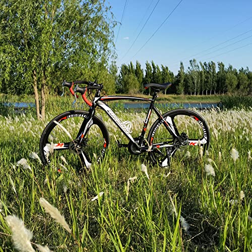 EUROBIKE 21 Speed Disc Brake Road Bike 54cm