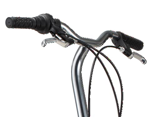 Schwinn Loop Folding Bike - 20-inch Wheels, 7-Speed