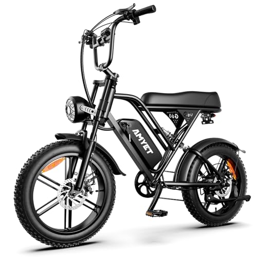 AMYET V9-G60 20" Fat Tire Electric Bike – Black