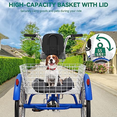 YITAHOME Adult Tricycle, 24 Inch 3 Wheel Bikes, 1 Speed