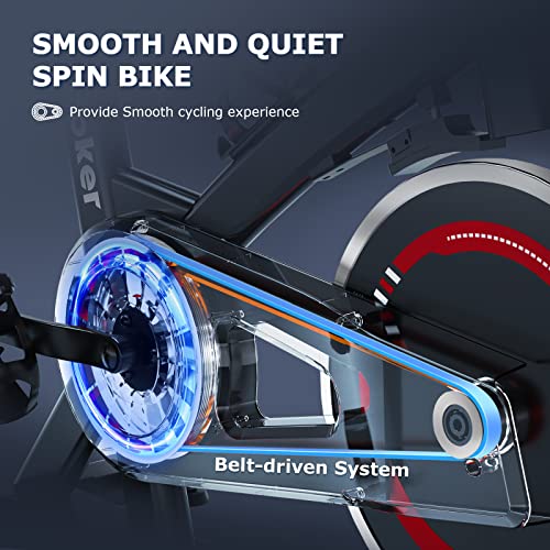 WENOKER Indoor Exercise Bike with Silent Drive