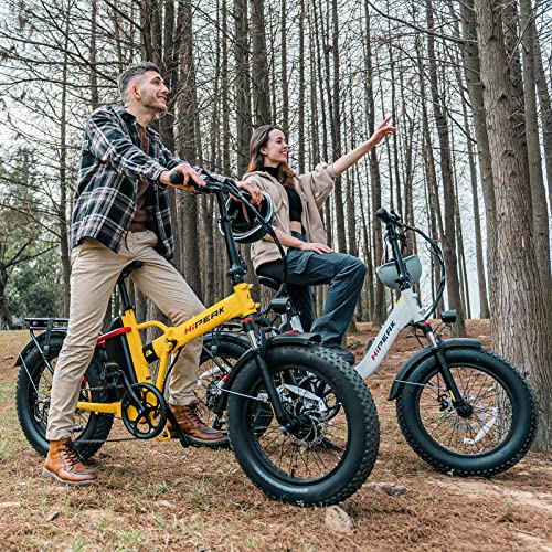 Hipeak Elias Electric Bike - Fat Tire, Folding