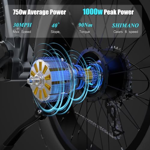 DAMSON Electric Bike: Powerful, Long-Range All-Terrain Bicycle