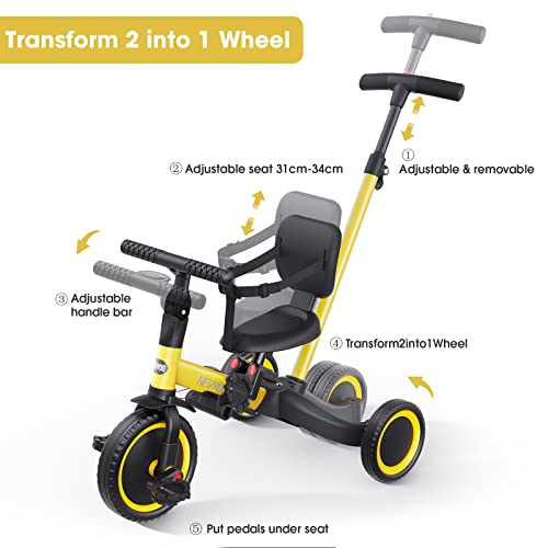 5 in 1 Toddler Tricycle with Parent Steering Handle