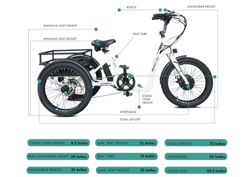 EMOJO Bull Electric Tricycle - Low Step Through