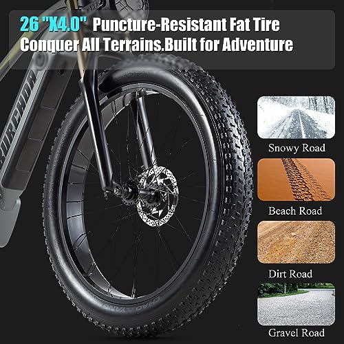 DAMSON Electric Bike: Powerful, Long-Range All-Terrain Bicycle