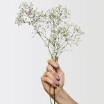 Addison Rae Chill Fragrance Mist - Floral Woody