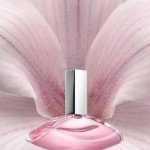 Calvin Klein Euphoria Eau de Toilette 10ml