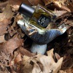Lavender Noir - Botanical Perfume with Incense & Moss
