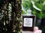 Lavender Noir - Botanical Perfume with Incense & Moss