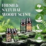 Woody Essential Oils Collection - 6x10ML Set